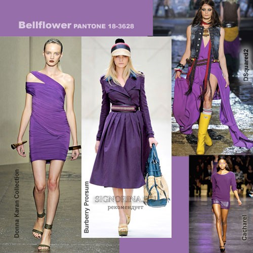  (Bellflower):   - 2012 