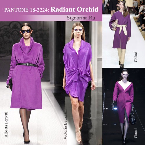   - 2014-2015 , :   (Radiant Orchid)