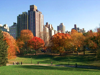 Центральный парк Нью-Йорка (Central Park)