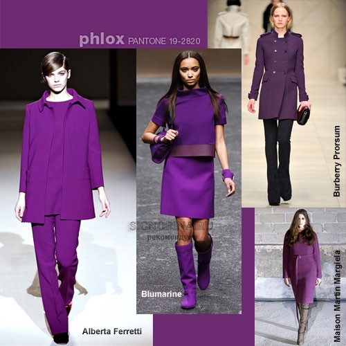 Модные цвета осень-зима 2011-2012: Флокс