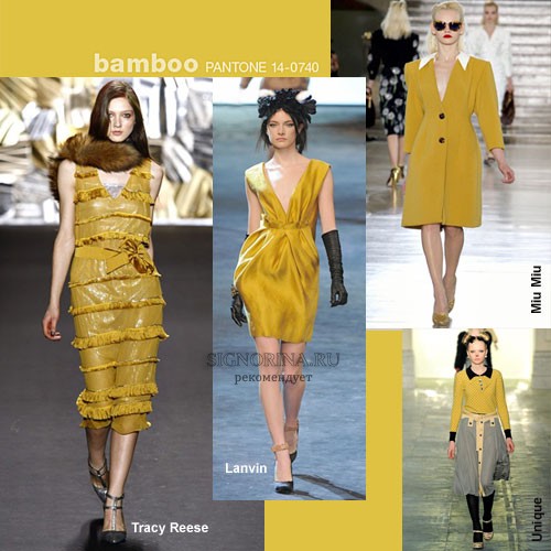 Модные цвета осень-зима 2011-2012: Бамбук
