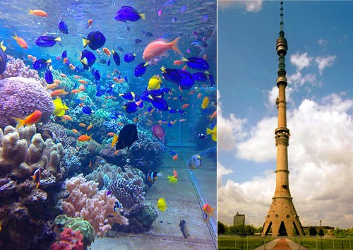 Московский аквариум на Чистых Прудах. Останкинская телебашня