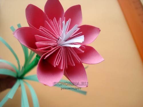 Наш цветок-оригами из бумаги к 8 марту готов. Вот такая красота получилась!