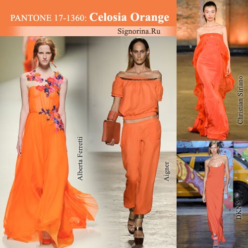 Модные цвета весна-лето 2014 фото: оранжевый (Celosia Orange)