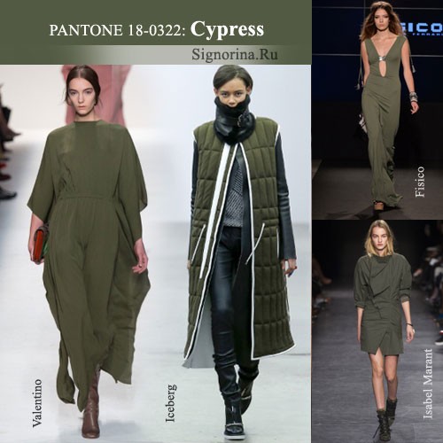 Модные цвета осень-зима 2014-2015 года, фото: Кипарис (Cypress)