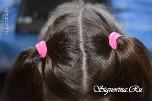 Прическа из косичек для девочки на длинные волосы, пошагово: фото 2