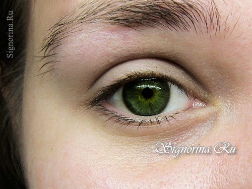 Свадебный макияж для зеленых глаз: урок с пошаговыми фото 1