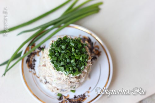 Готовый салат с грибами, зелёным луком и курицей: фото