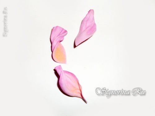 Мастер-класс по созданию цветка шиповника из фоамирана: фото 6