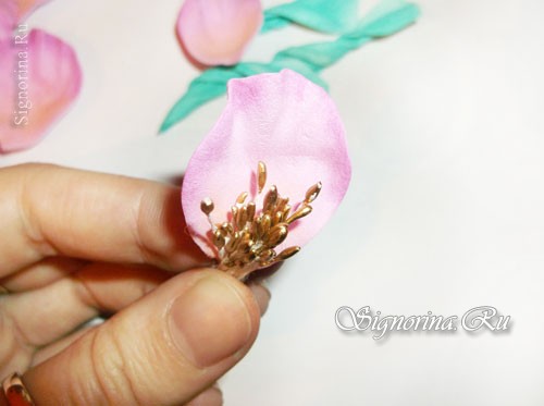 Мастер-класс по созданию цветка шиповника из фоамирана: фото 11