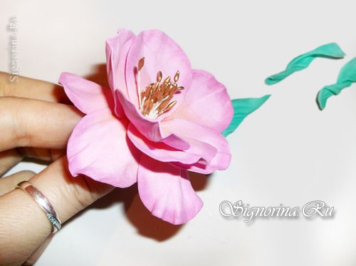 Мастер-класс по созданию цветка шиповника из фоамирана: фото 12