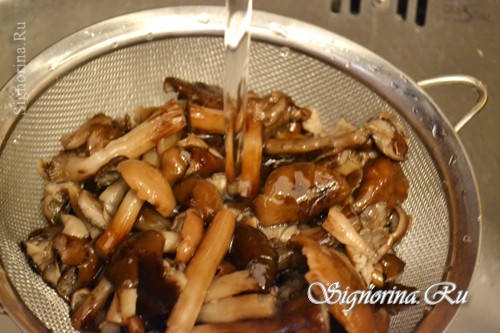 Промывание отварных грибов: фото 4