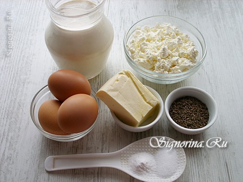 Ингредиенты для приготовления сыра: фото 1