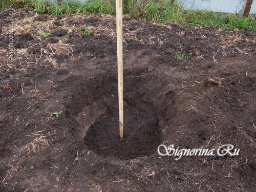 Добавление в яму плодородного грунта: фото 7
