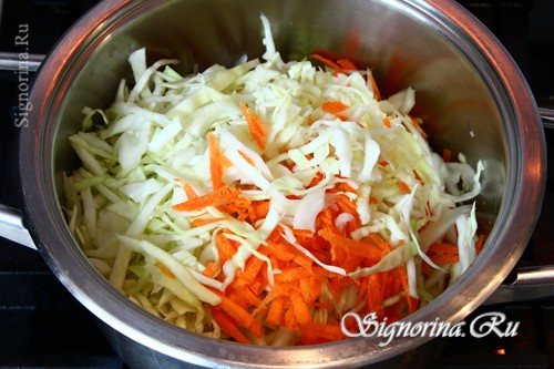 Тушение капусты с морковью: фото 5