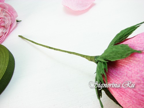 Мастер-класс «Как сделать розу Остина из гофрированной бумаги»: фото 13