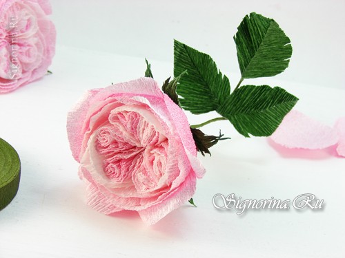 Мастер-класс «Как сделать розу Остина из гофрированной бумаги»: фото 18