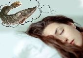 Рыба: К чему снится рыба? Толкование сна