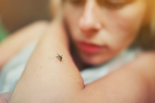 4 типа людей, которых кусают комары намного чаще