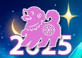    2025   